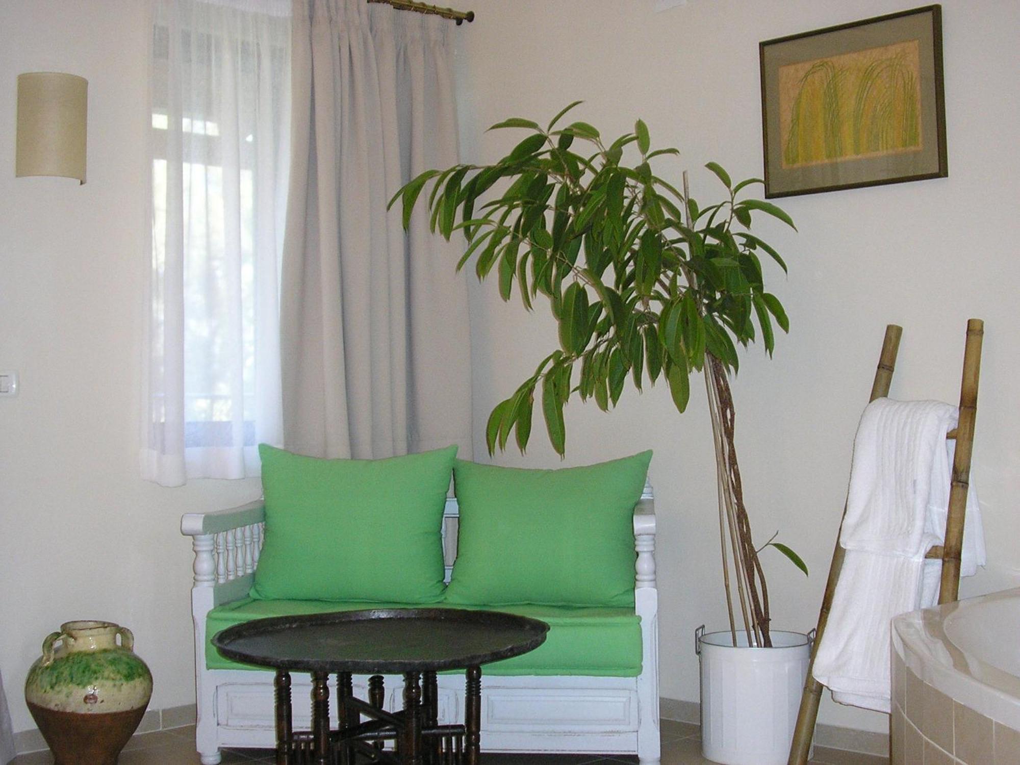 Shulamit Yard Rosh Pinna Exterior foto
