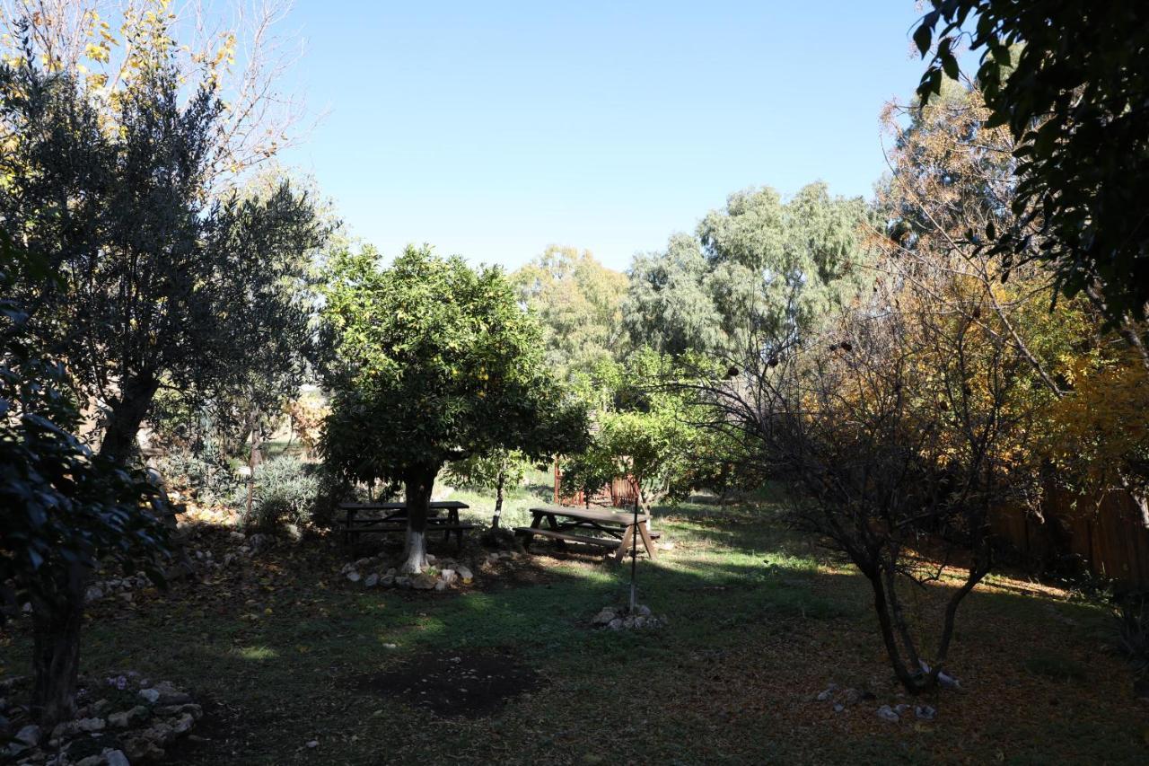 Shulamit Yard Rosh Pinna Exterior foto
